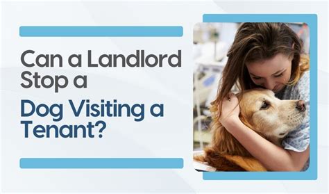 can a landlord stop pets visiting